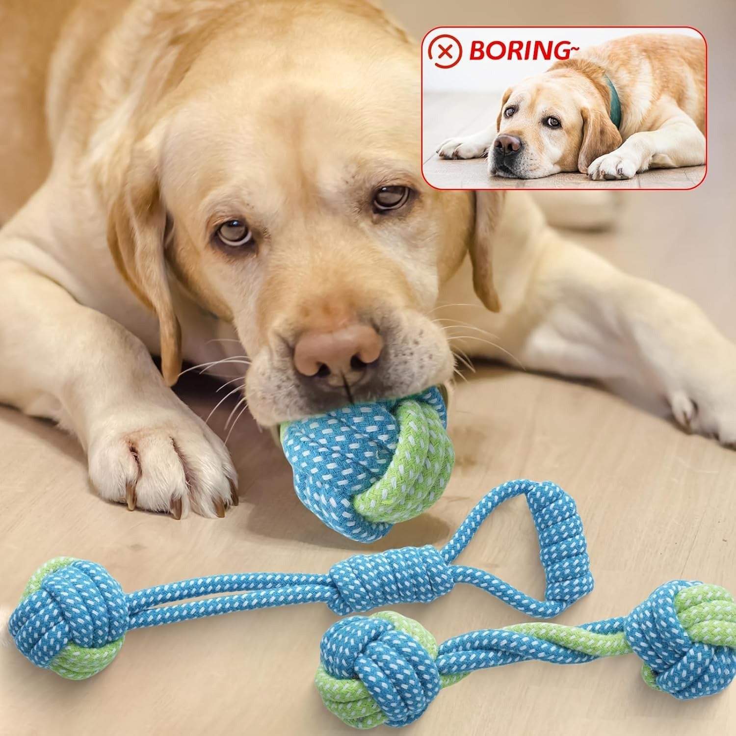 7 Pack Puppy Rope Toys for Small Dogs Durable Cotton Chew and Tug Toys Interactive Teething Rope for Teeth Cleaning and Mental Stimulation