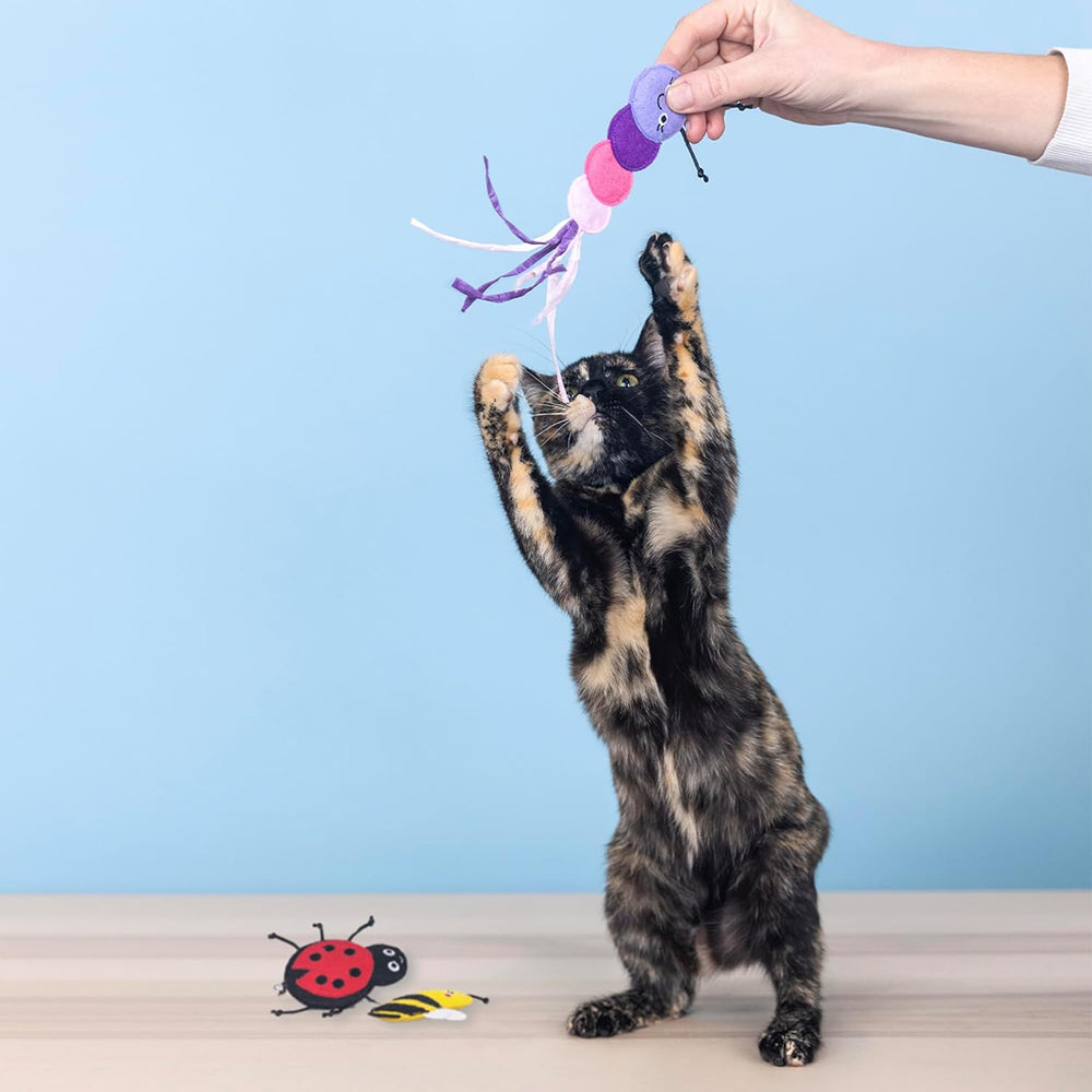 Living The Bug Life Cat Toys