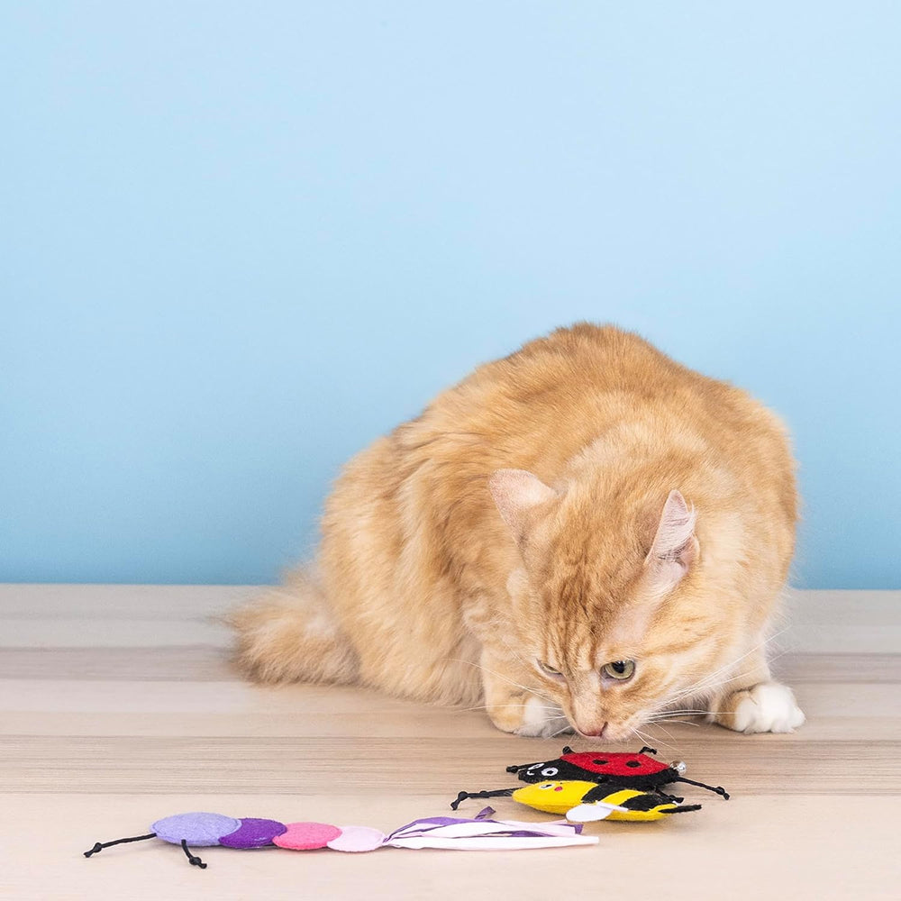 Living The Bug Life Cat Toys