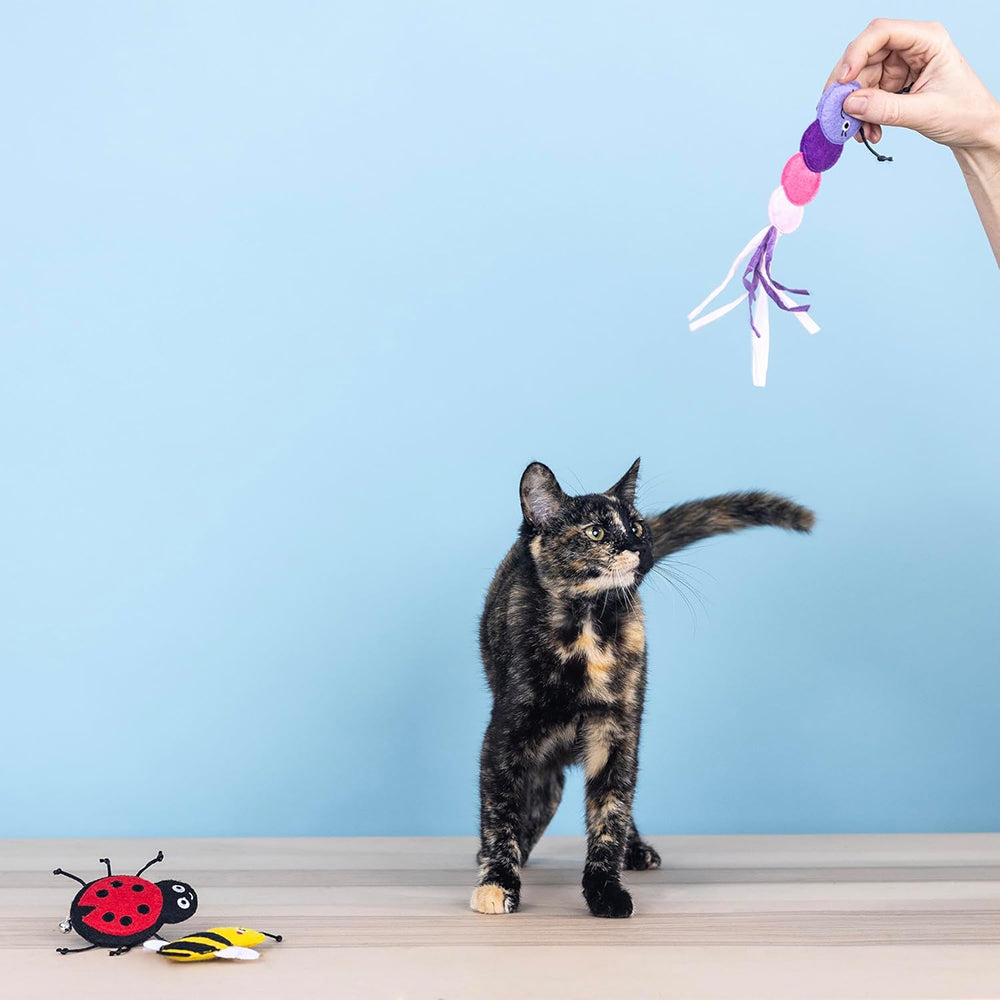 Living The Bug Life Cat Toys