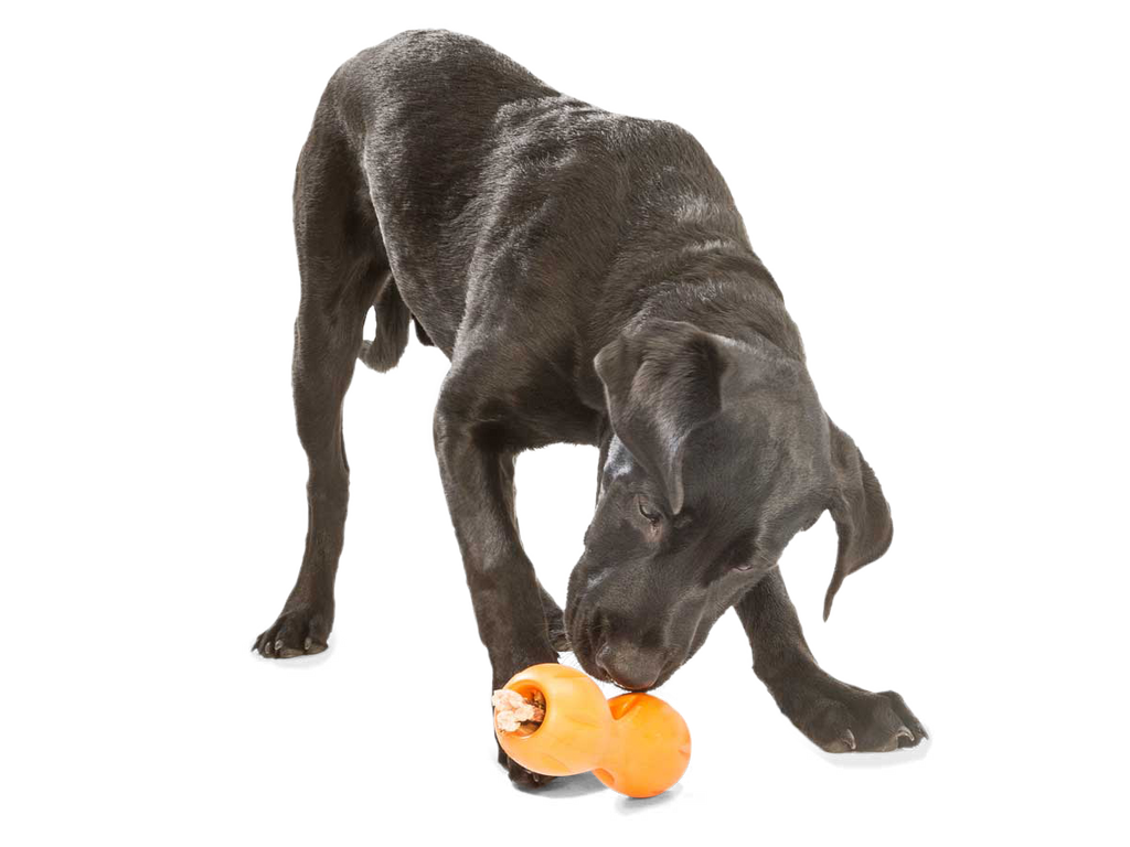 Interactive Dog Treat Dispensing Chew Toy Puzzle for Boredom Relief, Durable Food Holder Toy for Small and Large Dogs, Aqua / Tangerine / Green