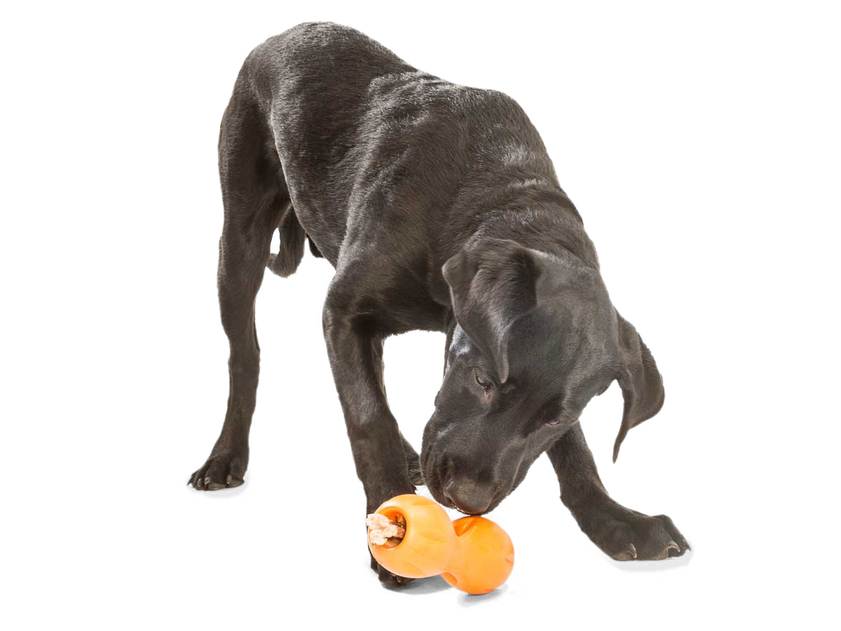 Interactive Dog Treat Dispensing Chew Toy Puzzle for Boredom Relief, Durable Food Holder Toy for Small and Large Dogs, Aqua / Tangerine / Green